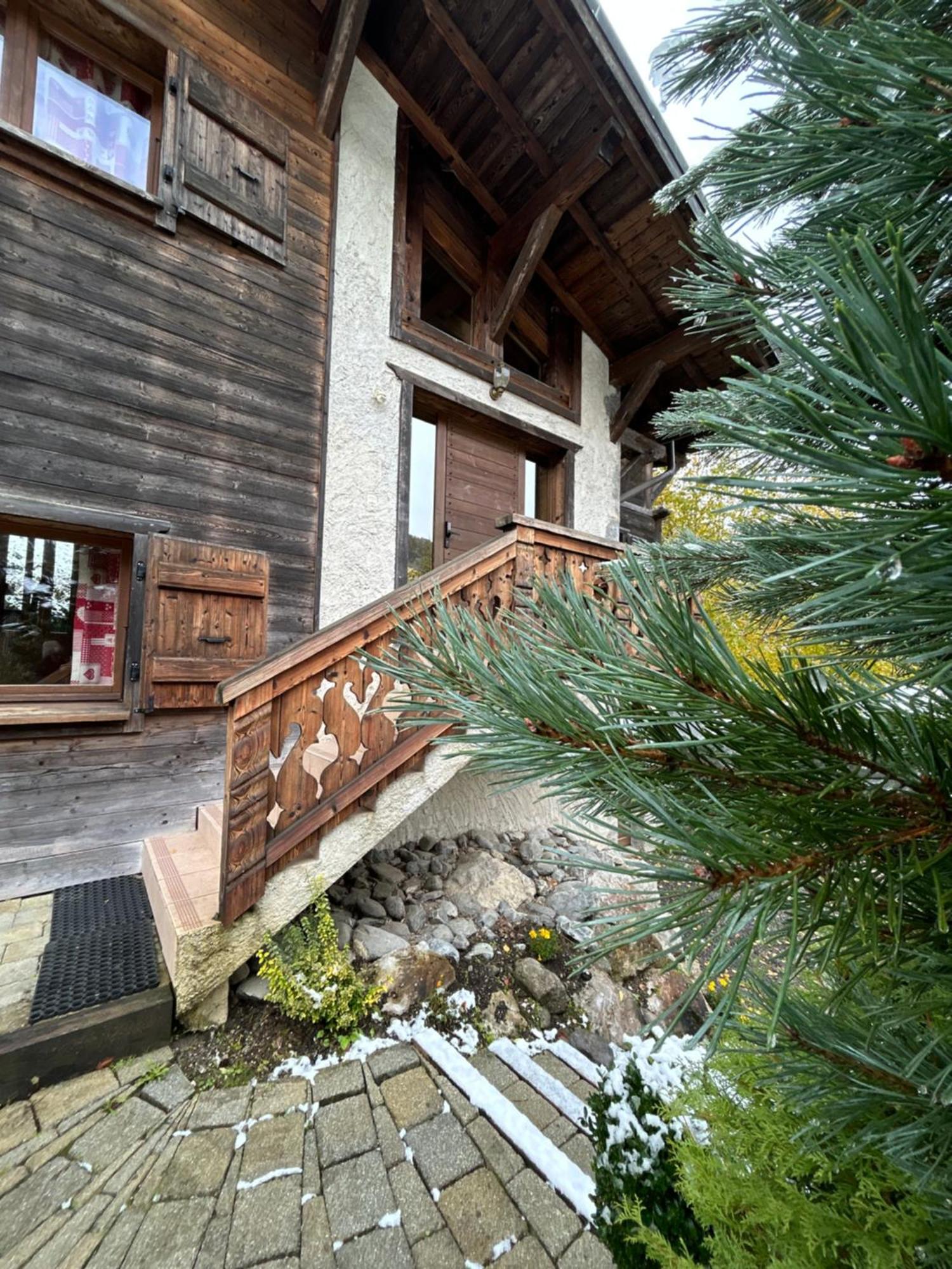Chalet Adonis - Montriond, Morzine, Avoriaz Kültér fotó