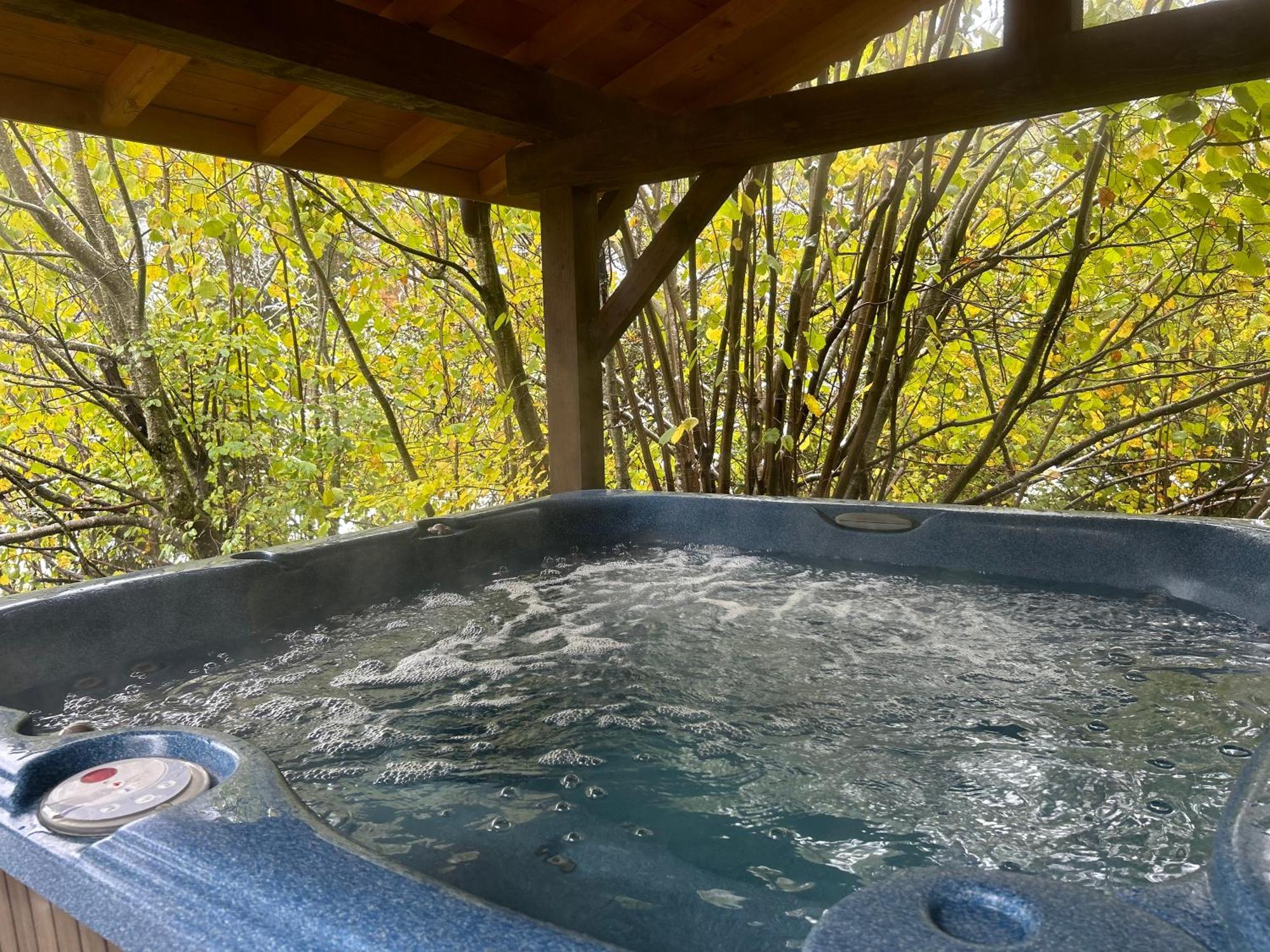 Chalet Adonis - Montriond, Morzine, Avoriaz Kültér fotó