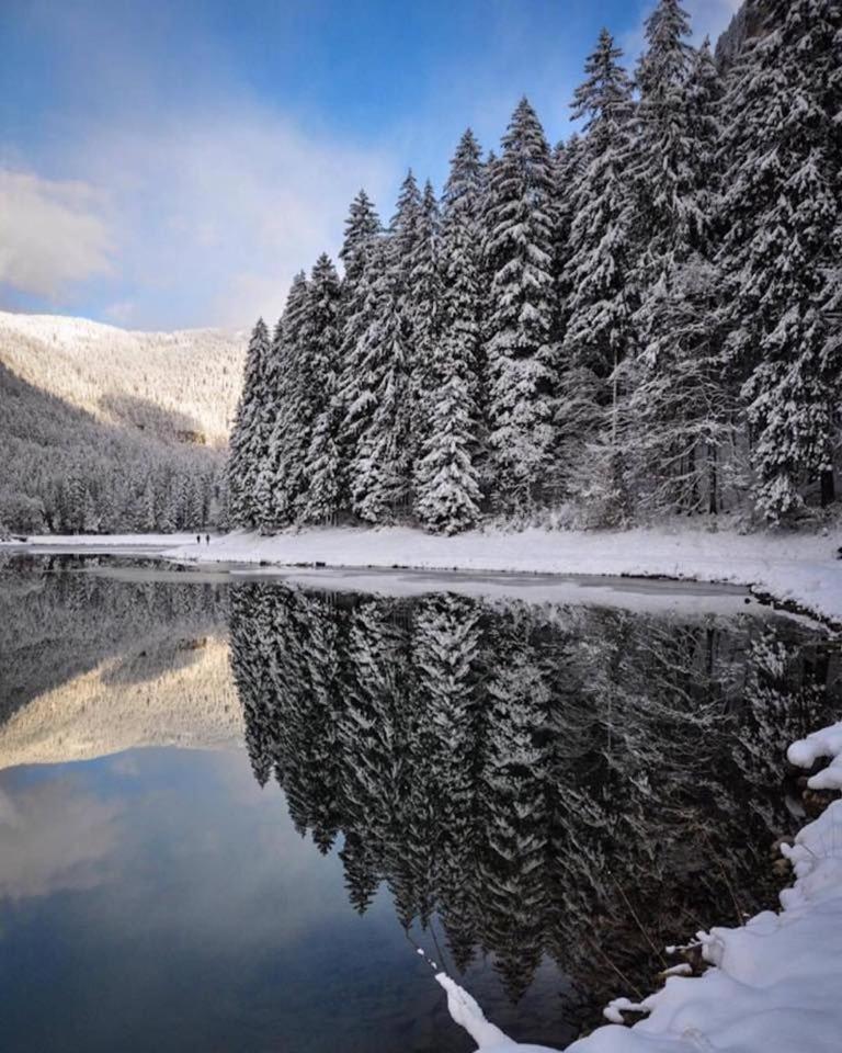 Chalet Adonis - Montriond, Morzine, Avoriaz Kültér fotó